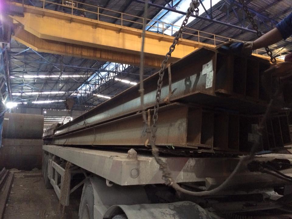 11817170 894158550654588 6972413158149398040 n