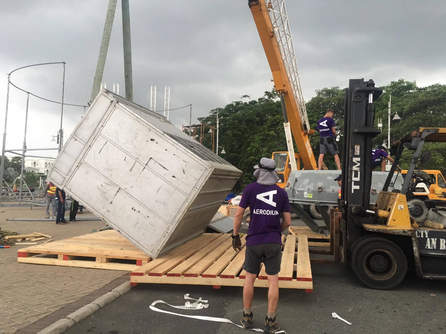 13835452 1108554449214996 1571476645 o