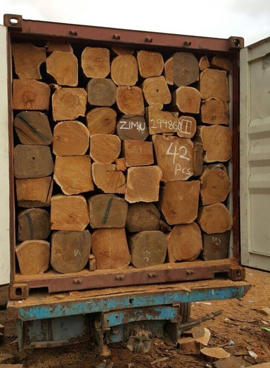 14212212 302825620077553 2016350240976683580 n