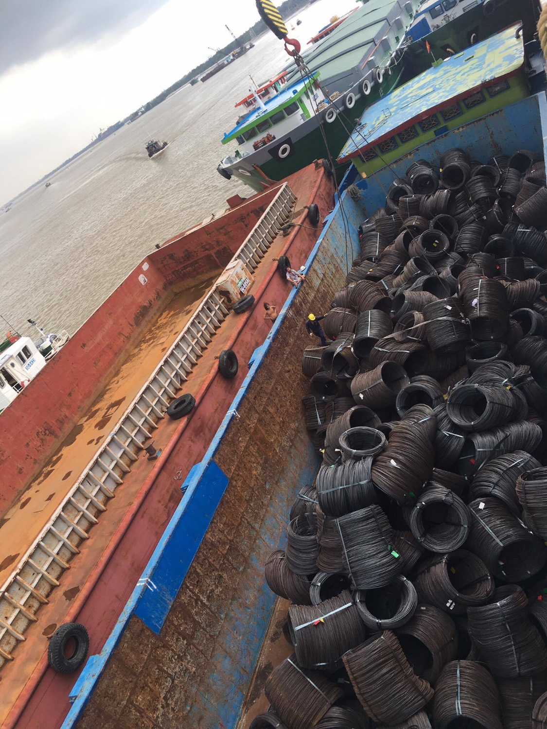 14600542 1185802631490177 768294787 o