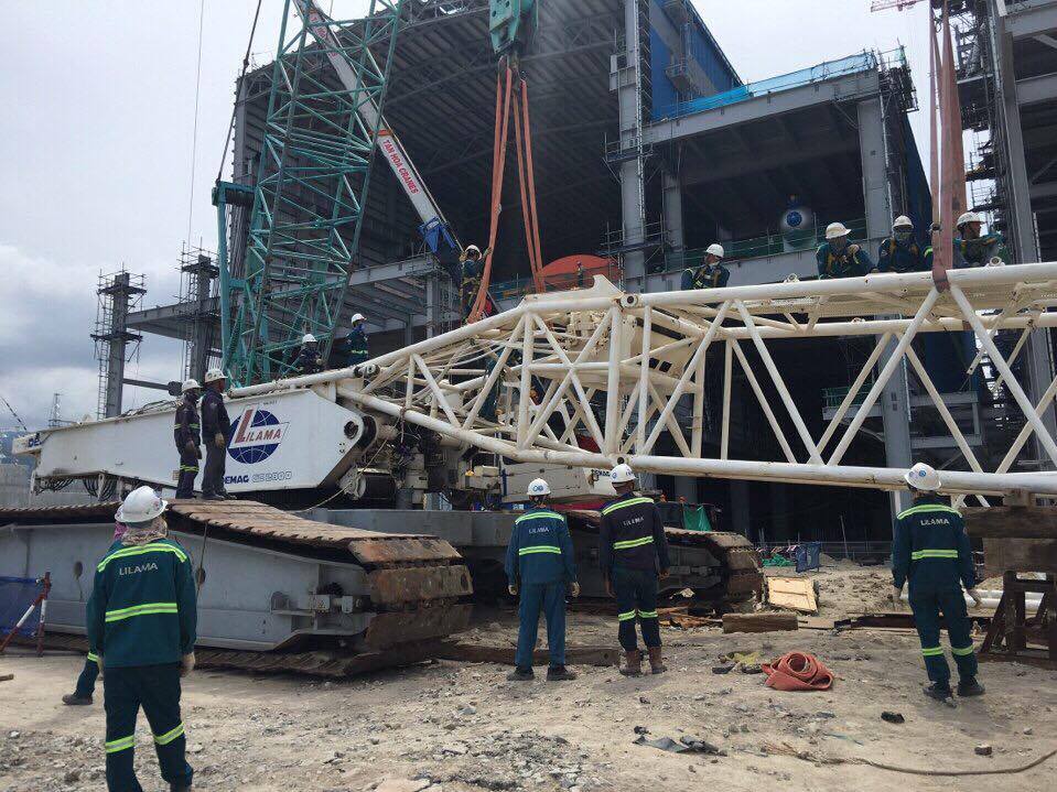 14642606 1191909810879459 321427840 n