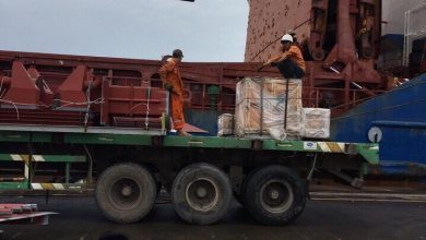 15941304 1325766540827118 8363805299317340227 n