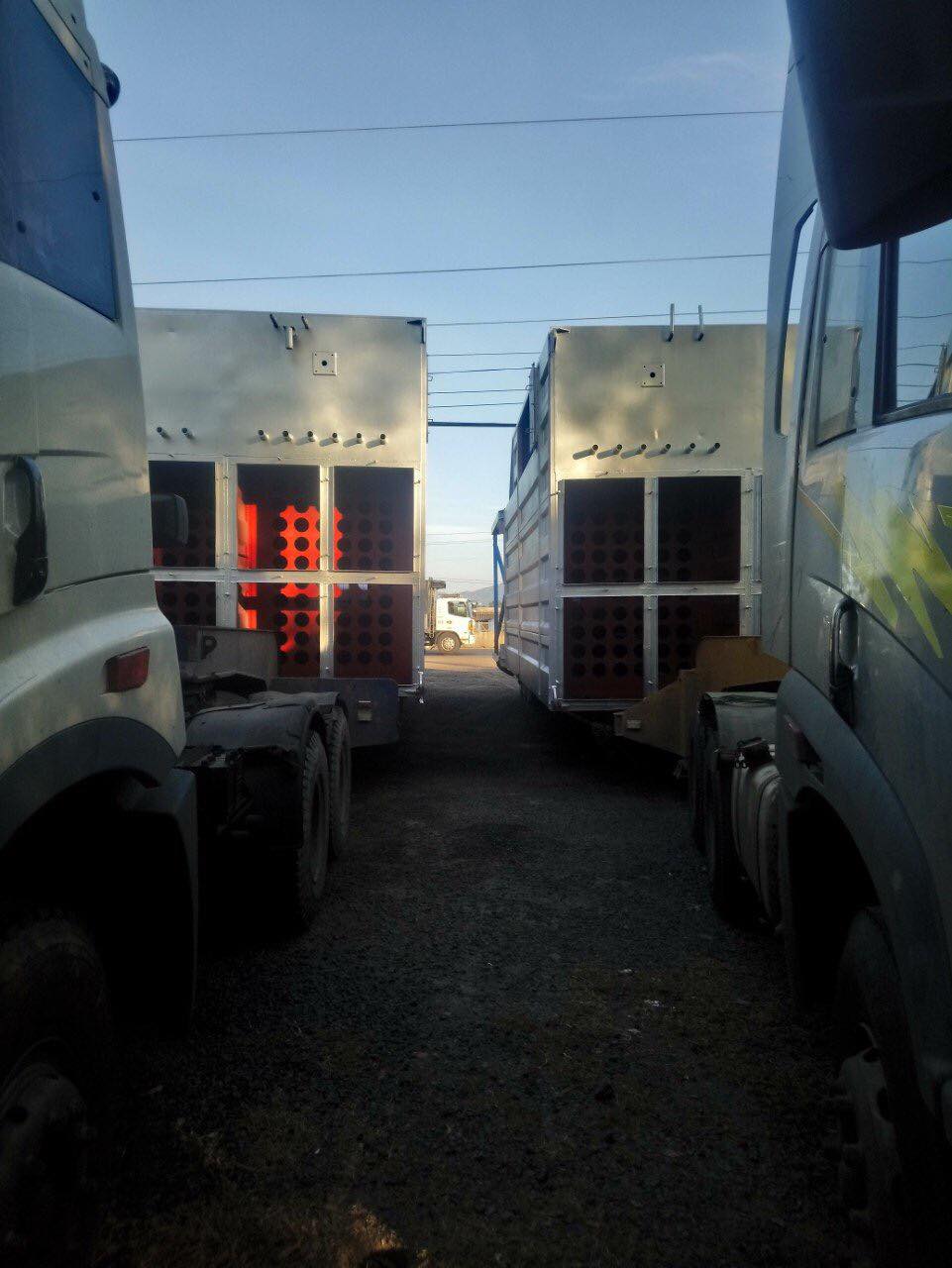 52525526 407016996729215 2888733533717659648 n