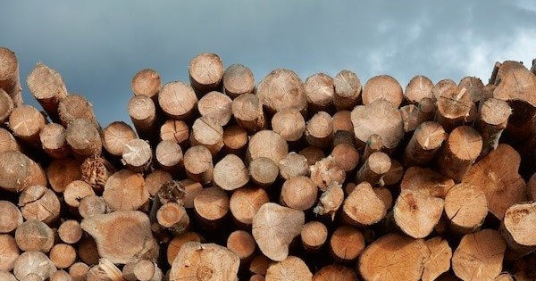 avatar1727159896036 17271598962411287452660