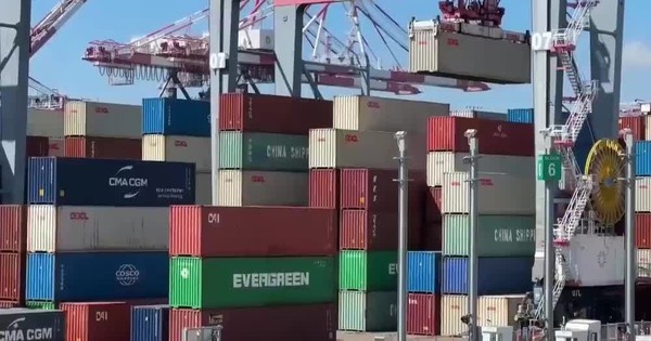 avatar1728551249410 1728551249640777563346