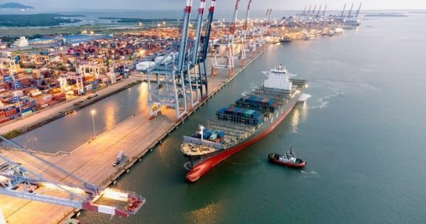 avatar1729149249046 1729149249488847930501