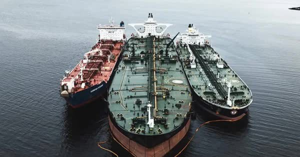 avatar1736929333822 17369293341881858306685