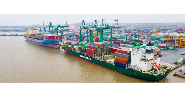 Chuyện chưa từng có trong 15 năm qua tại DN cung cấp dịch vụ vận chuyển container hàng đầu Việt Nam