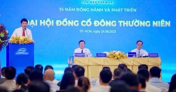 Gemadept ước lãi 1.100 tỷ đồng nửa đầu năm, hé lộ những cơ hội từ việc sáp nhập Bà Rịa – Vũng Tàu vào Tp.HCM