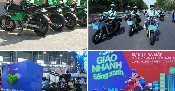 avatar1685067301396 1685067301579807272291 94 0 671 924 crop 1685067357223756016742