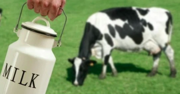 photo1648256589017 16482565892491397657266