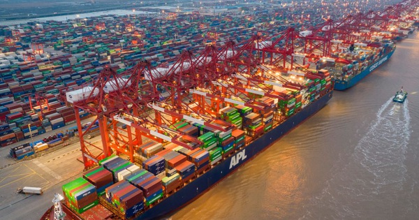 photo1648866481442 16488664815771592787531