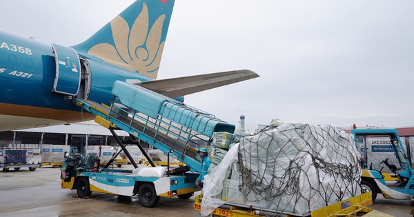 photo1650533634840 16505336349351580135336