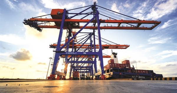 photo1650682658183 1650682658383155322741