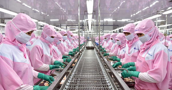 photo1658203361652 16582033617541459127394