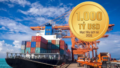 thumb bai 1771080686213299793561 1771254896562 1771254896842432856137