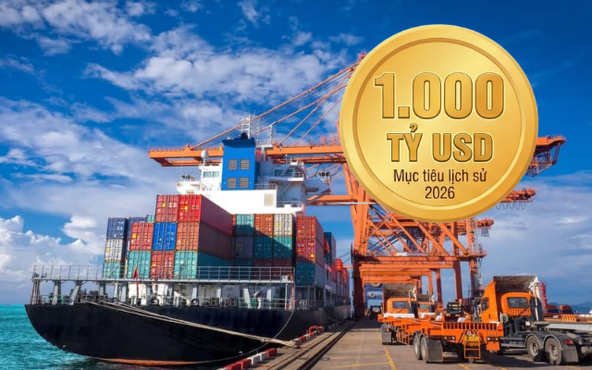 thumb bai 1771080686213299793561 1771254896562 1771254896842432856137